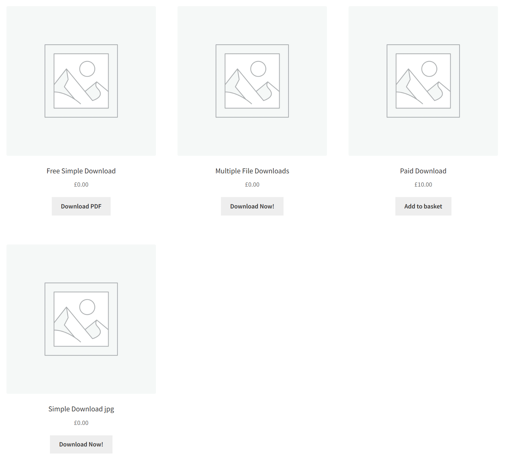 Placeholder: Screenshot of shop page with download buttons